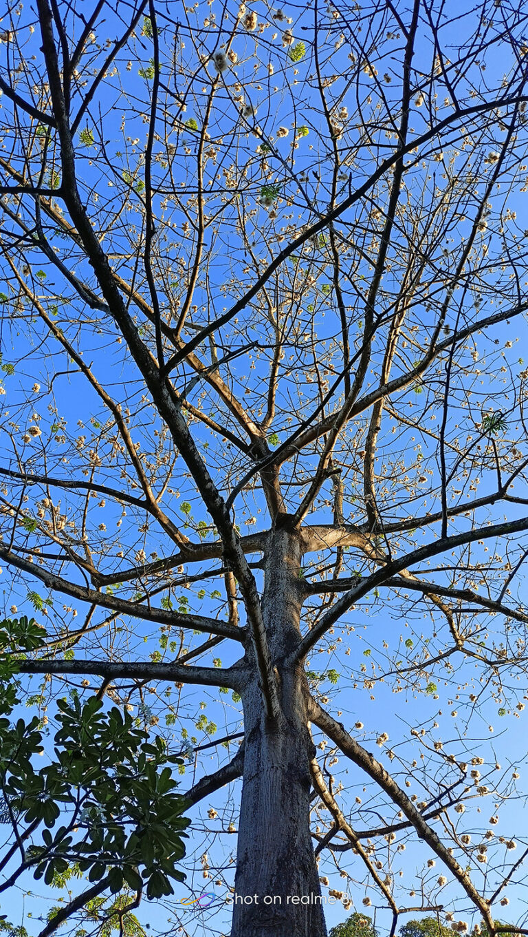 2021 realme 8 MFD 001