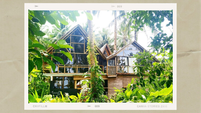 2021 Airbnb Siargao TARZAN